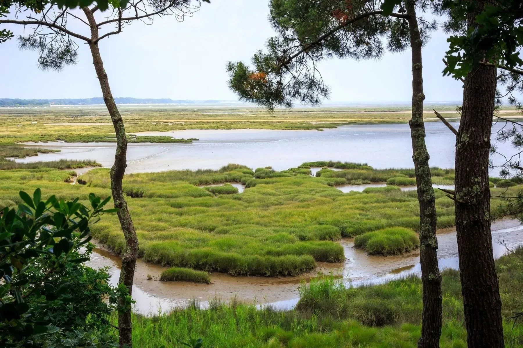 © David Remazeilles (Gironde Tourisme)